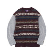 THE NORTH FACE PURPLE LABEL / NEW ARRAIVAL