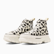 converse / NEW ARRIVAL